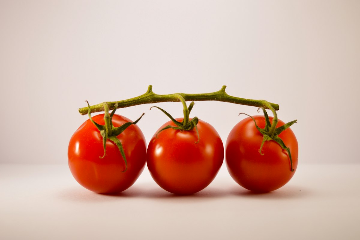 Tomatoes rich in lycopene
